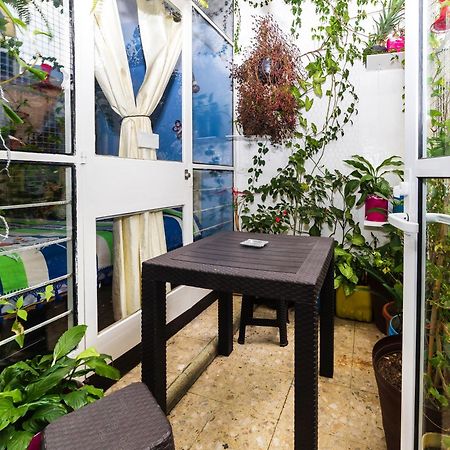 مدينة مكسيكو Casa Itzae B&B Polanquito Dog Friendly المظهر الخارجي الصورة
