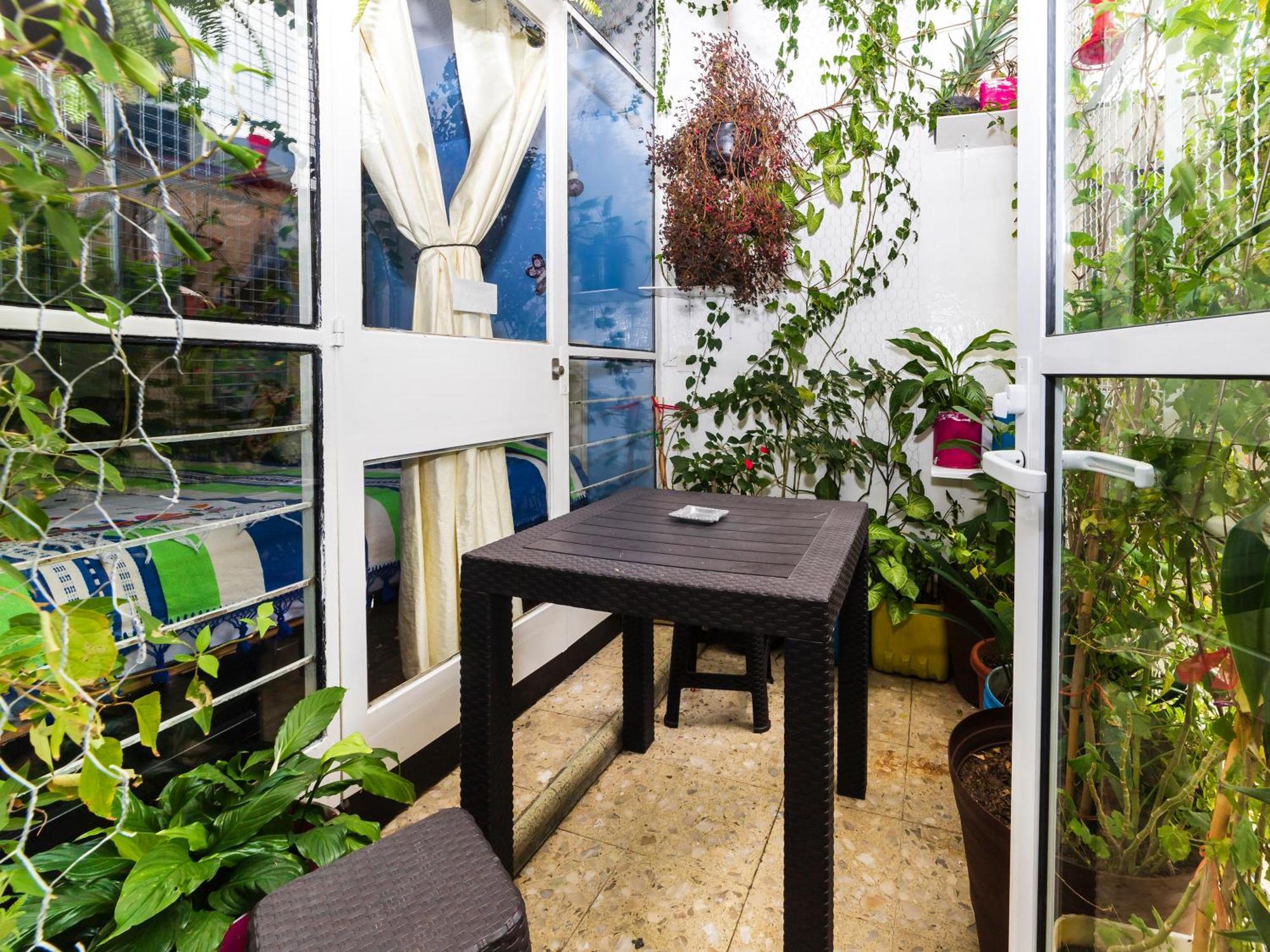 مدينة مكسيكو Casa Itzae B&B Polanquito Dog Friendly المظهر الخارجي الصورة