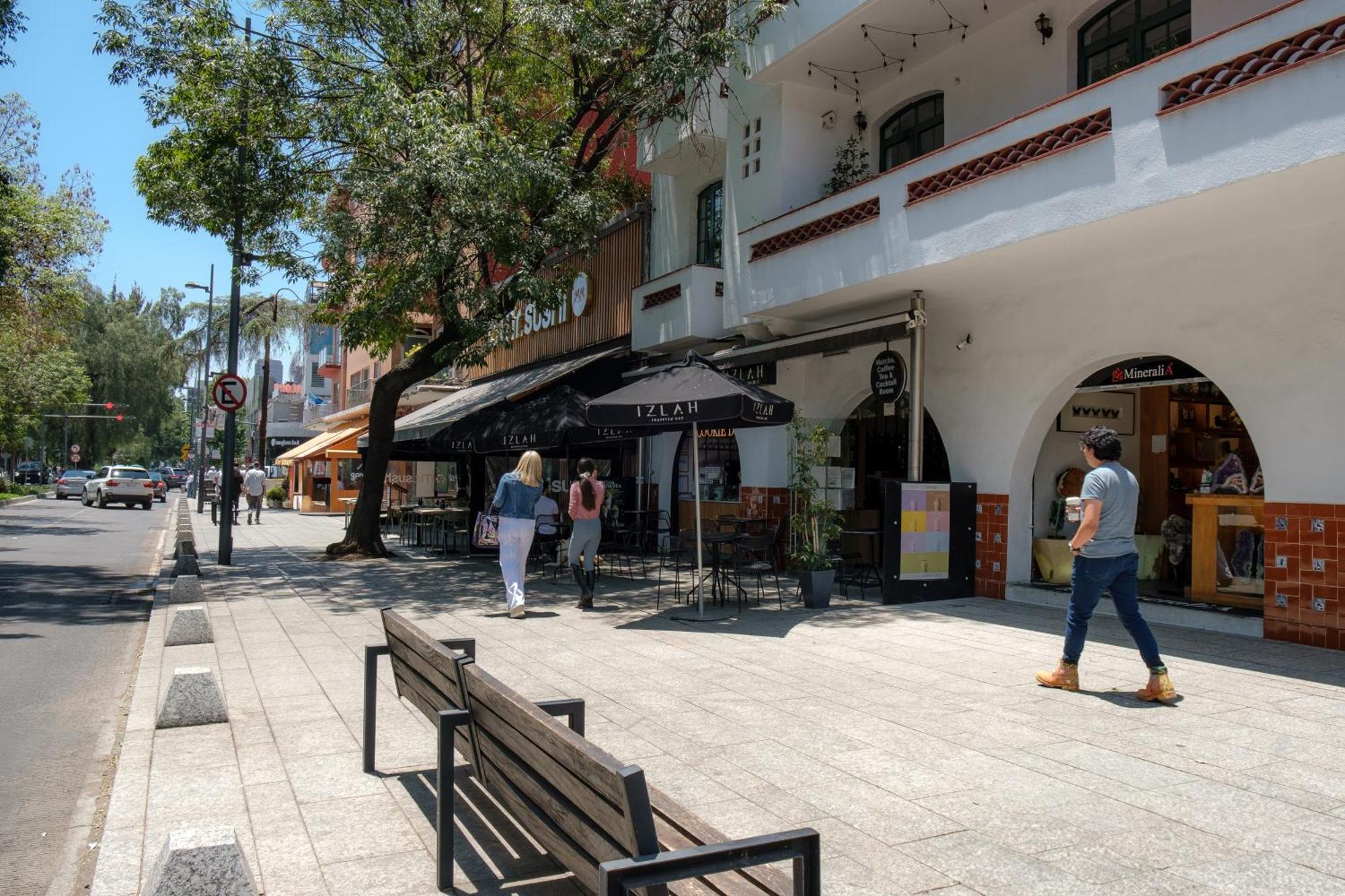 مدينة مكسيكو Casa Itzae B&B Polanquito Dog Friendly المظهر الخارجي الصورة