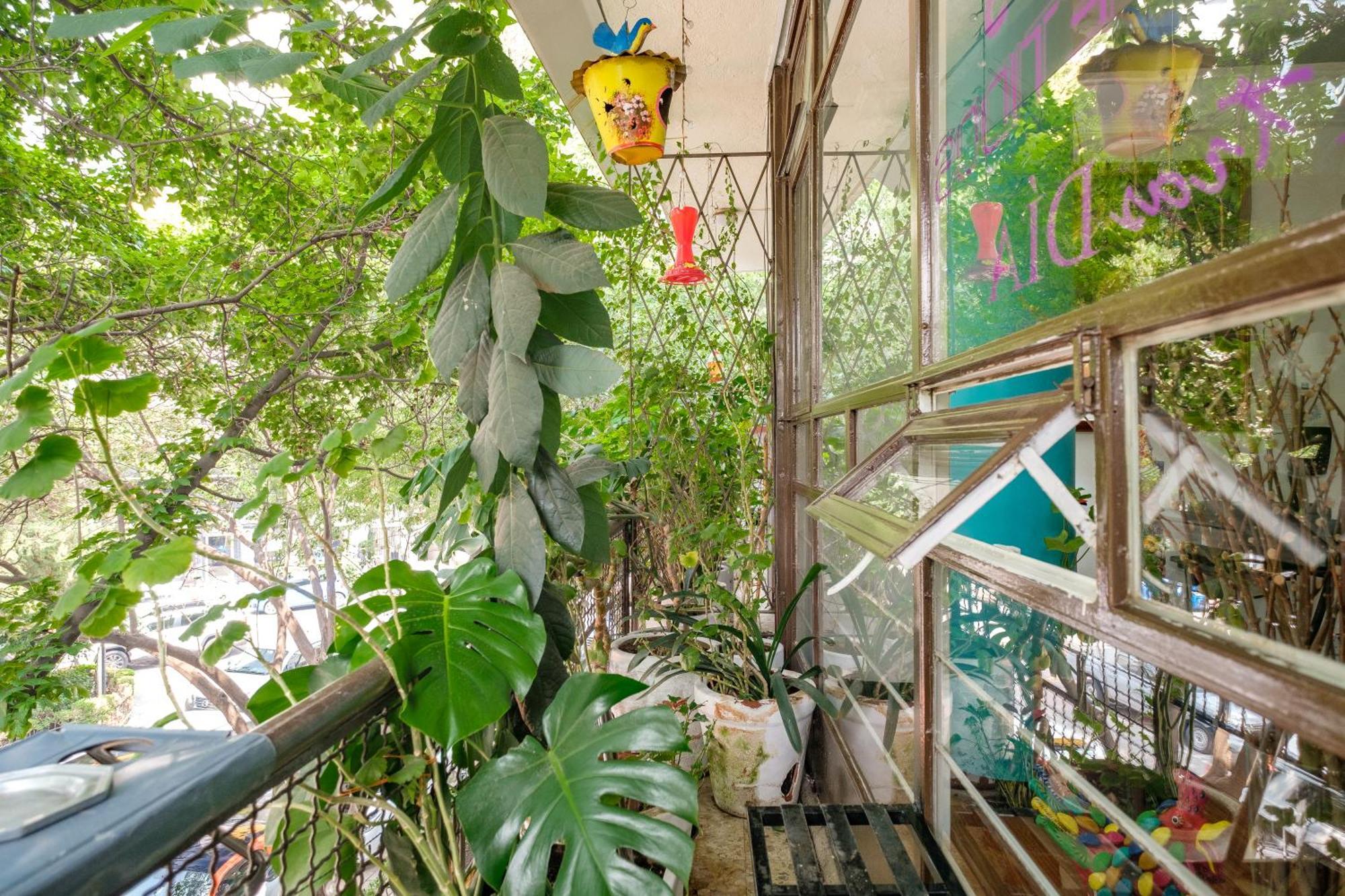 مدينة مكسيكو Casa Itzae B&B Polanquito Dog Friendly المظهر الخارجي الصورة