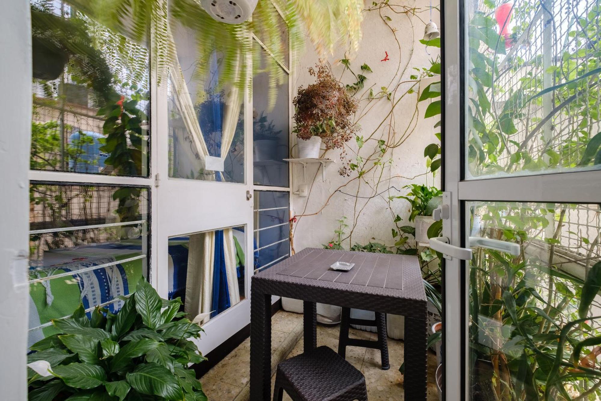 مدينة مكسيكو Casa Itzae B&B Polanquito Dog Friendly المظهر الخارجي الصورة