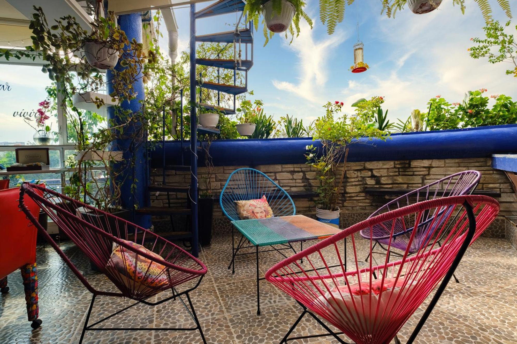 مدينة مكسيكو Casa Itzae B&B Polanquito Dog Friendly المظهر الخارجي الصورة